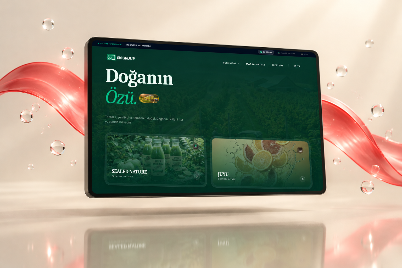 SN Group — desktop web design