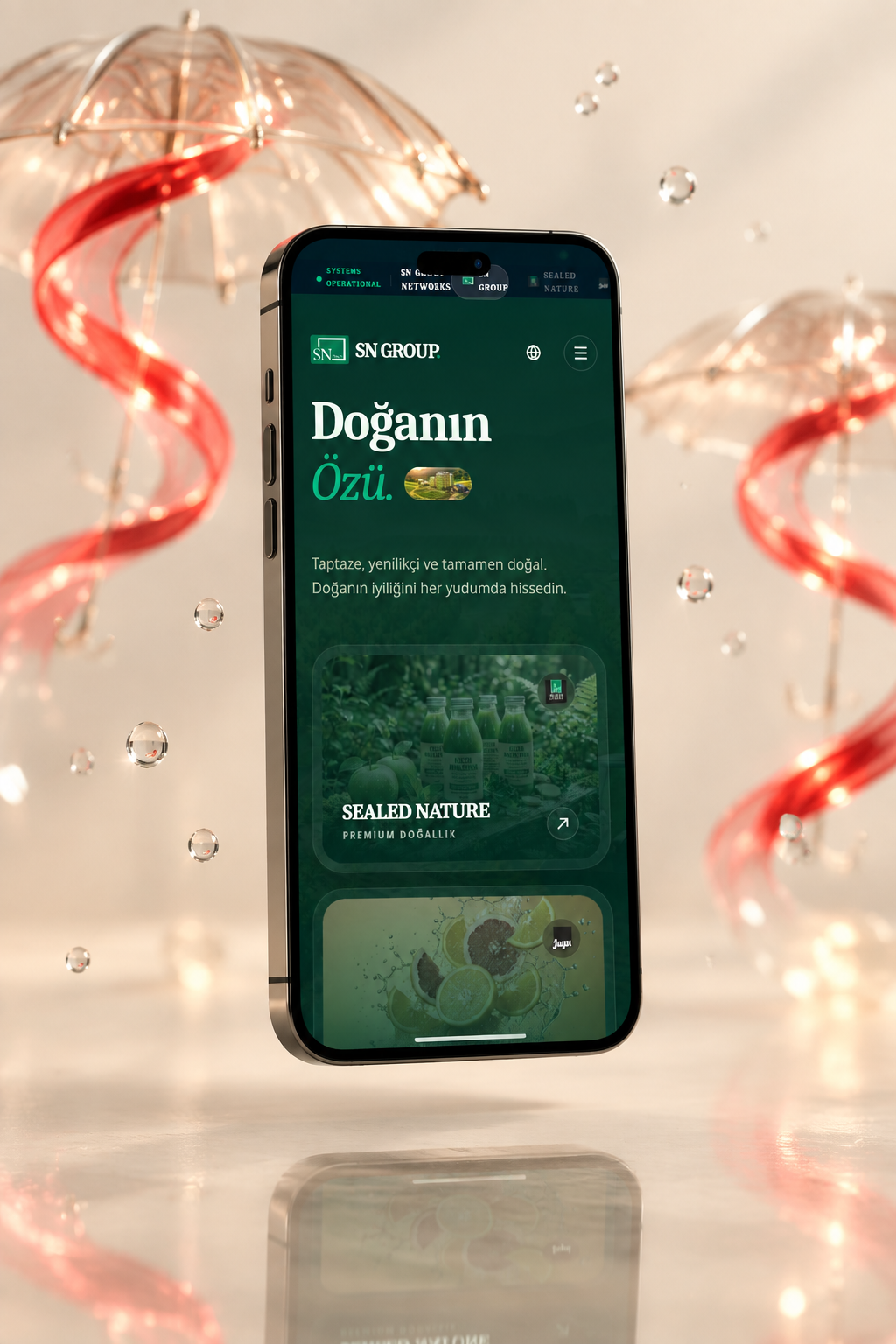 SN Group — mobile interface view